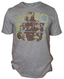PLAYERA DESTINY TITAN GRIS CHICA
