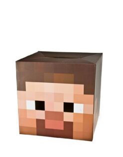 CABEZA MINECRAFT STEVE