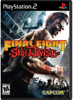 FINAL FIGHT STREETWISE