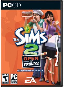 THE SIMS 2 BUSSISNES