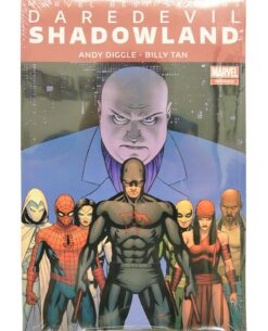 COMIC DAREDEVIL SHADOWLAND