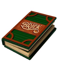 SET LEGO IDEAS LIBRO DESPLEGABLE