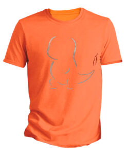 PLAYERA POKEMON CHARMANDER NARANJA XGRANDE