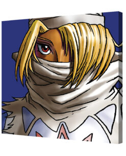 CUADRO THE LEGEND OF ZELDA SHEIK