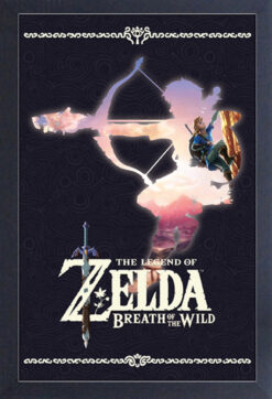 CUADRO THE LEGEND OF ZELDA BREATH OF THE WILD SILHOUETTE