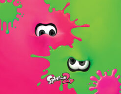 CUADRO SPLATOON 2 CALAMARES