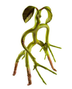 FIGURA CRIATURAS FANTASTICAS BENDEABLE BOWTRUCKLE