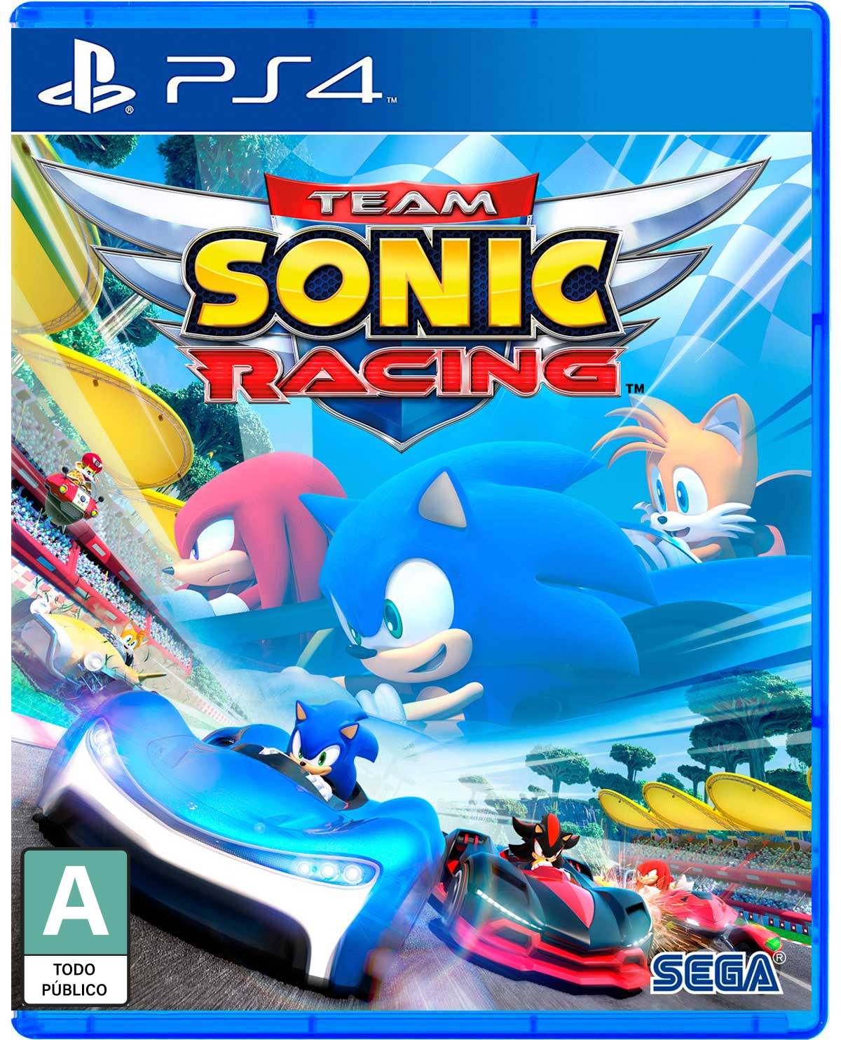 TEAM SONIC RACING