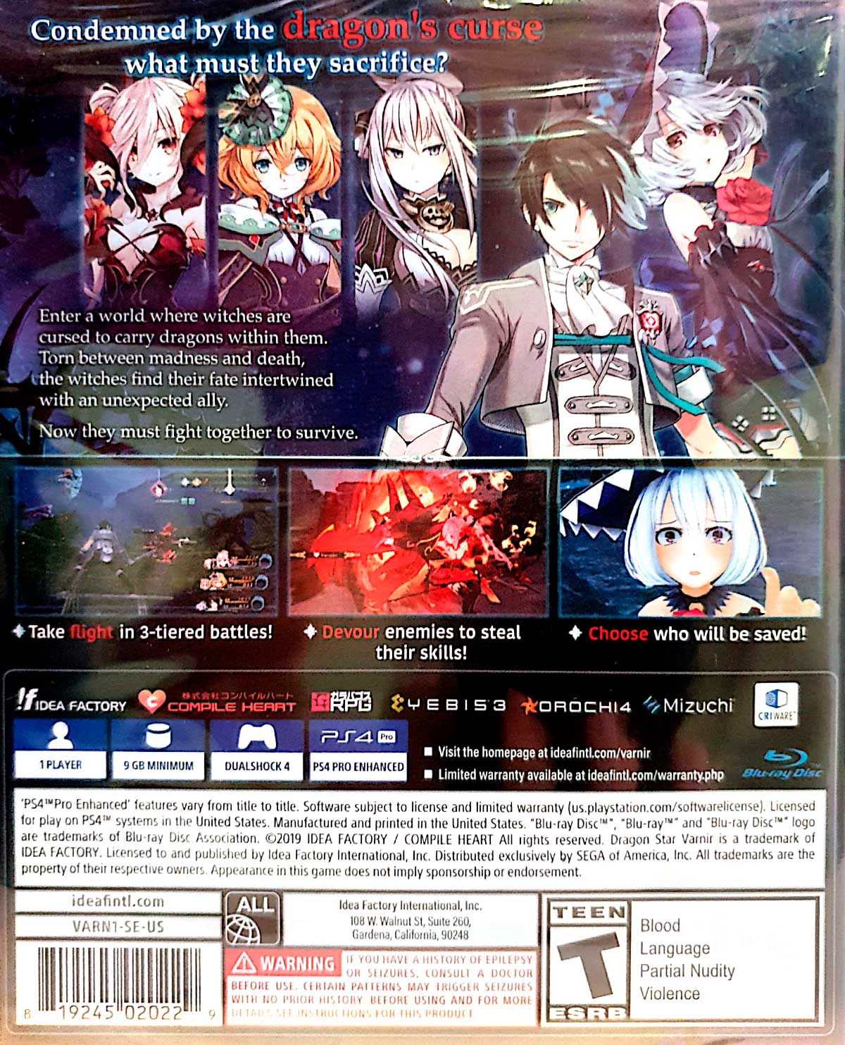 DRAGON STAR VARNIR - Image 2