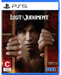 LOST JUDGMENT