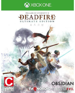 PILARS OF ETERNITY II