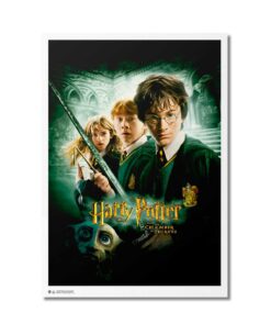 POSTER HARRY POTTER Y LA CAMARA SECRETA