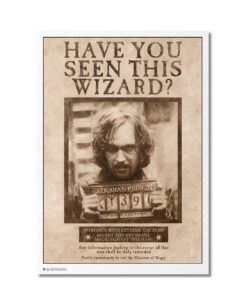 POSTER HARRY POTTER SE BUSCA