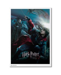 POSTER HARRY POTTER Y EL CALIZ DE FUEGO