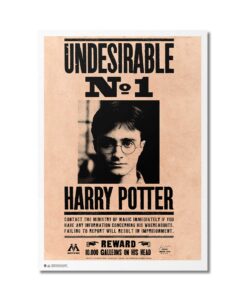 POSTER HARRY POTTER INDESEABLE
