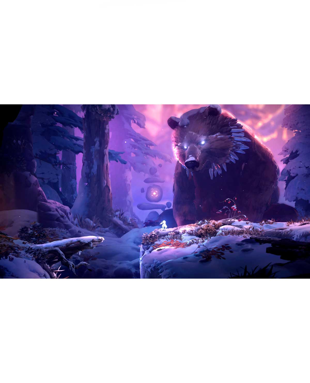 ORI THE COLLECTION - Image 3