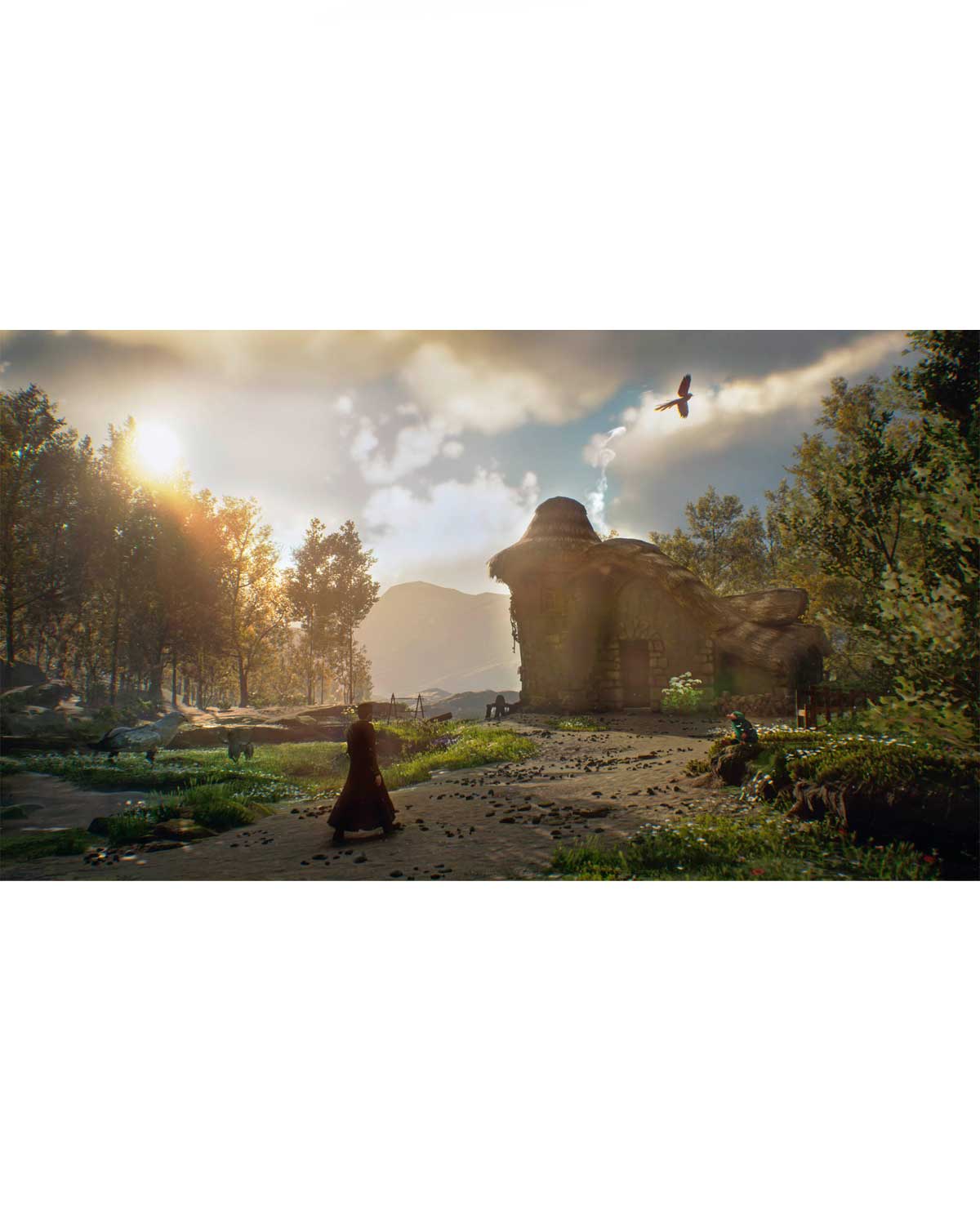 HOGWARTS LEGACY - Image 4