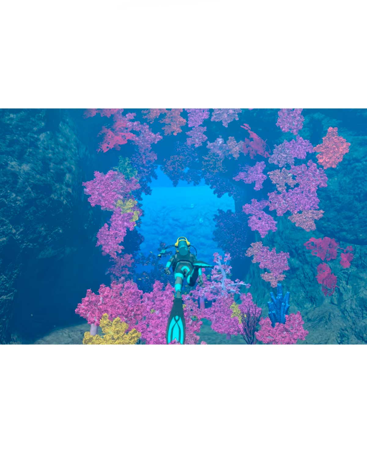 ENDLESS OCEAN LUMINOUS - Image 3