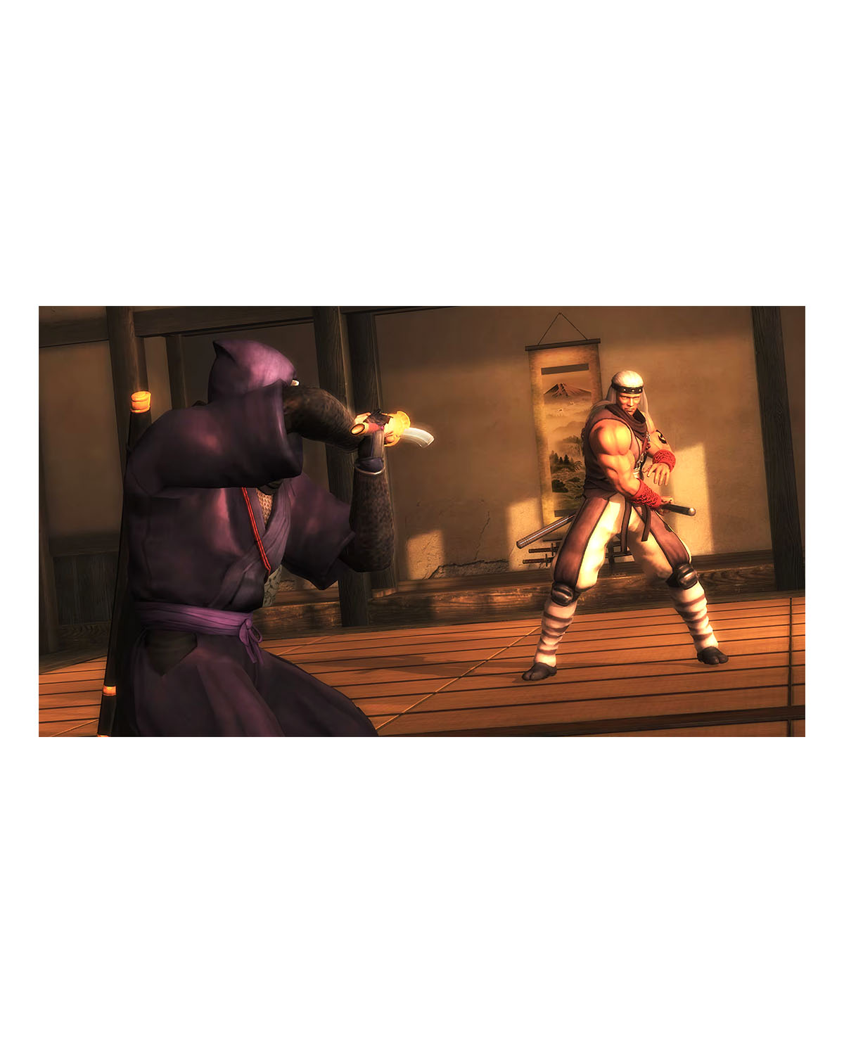 NINJA GAIDEN MASTER COLLECTION - Image 2