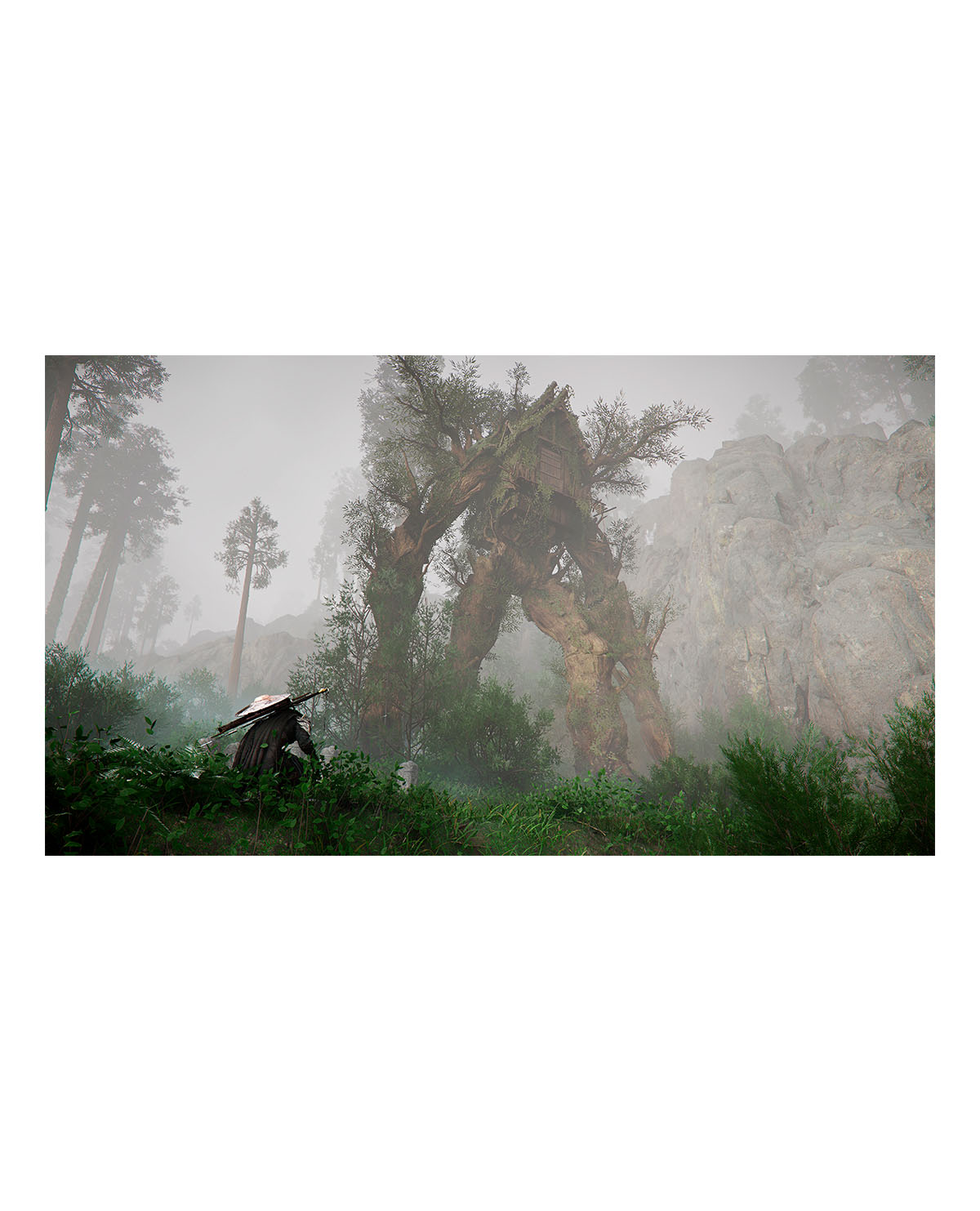 CRIMSON DESERT - Image 4