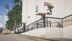 SKATER XL - Image 5