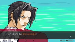 ACE ATTORNEY INVESTIGATIONS COLLECTION - Image 2