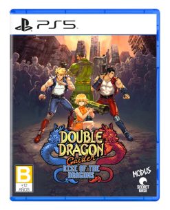DOUBLE DRAGON GAIDEN RISE OF THE DRAGONS