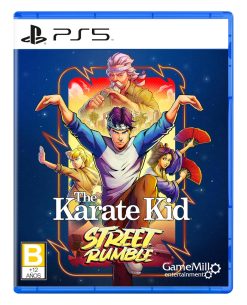 THE KARATE KID STREET RUMBLE
